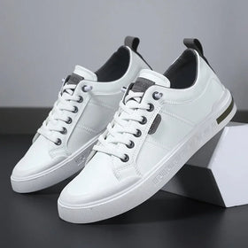 White & Grey