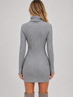 Kacob | Women's Ribbed Knit Roll Neck Fitted Mini Dress